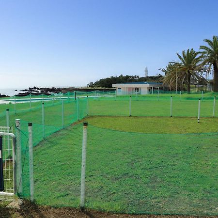 Shirahama Ocean Resort Chiba Luaran gambar
